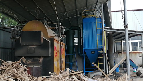 宜丰日新洗涤服务中心1吨锅炉脉冲布袋除尘器